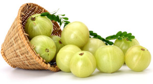 amla